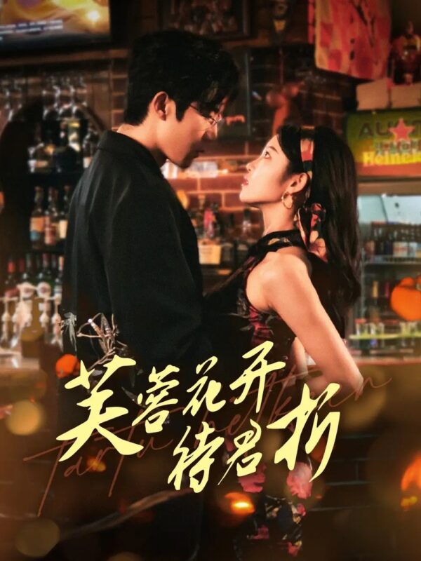 芙蓉花开待君折（75集）张北淅＆刘盈 - 免费短剧资源全集-年糕资源网