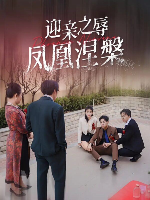 迎亲之辱凤凰涅槃（34集） - 免费短剧资源全集-年糕资源网
