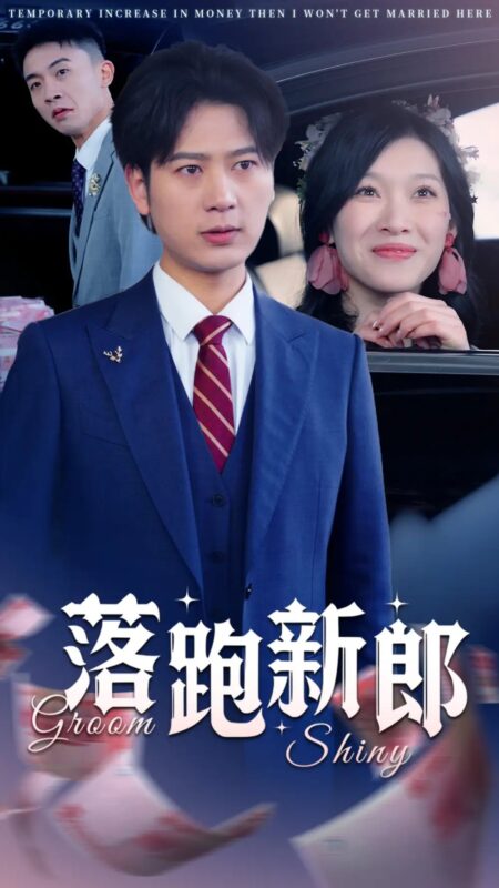 落跑新郎（80集） - 免费短剧资源全集-年糕资源网