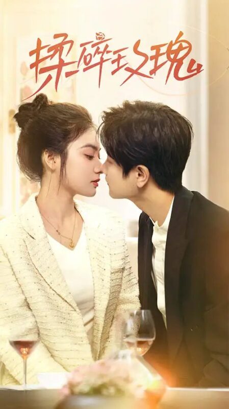 揉碎玫瑰（40集）杨佳乐&林连峰 - 免费短剧资源全集-年糕资源网