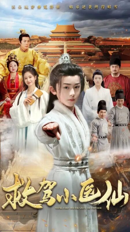 救驾小医仙（65集） - 免费短剧资源全集-年糕资源网