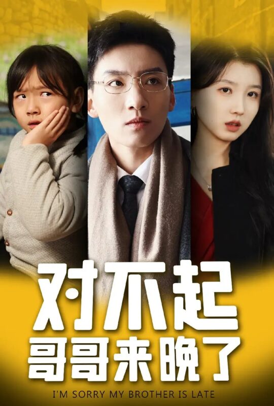 对不起，哥哥来晚了（38集）霍文琦＆李林汐 - 免费短剧资源全集-年糕资源网