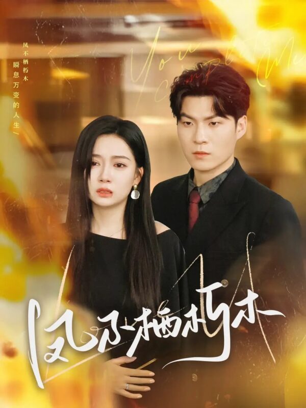 凤不栖朽木（80集）邓恒健＆郭怡凡 - 免费短剧资源全集-年糕资源网