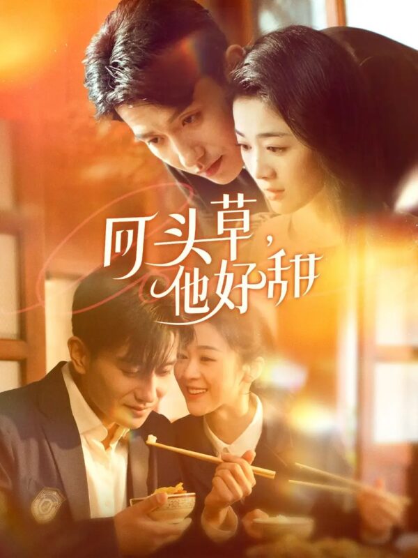 回头草，他好甜（80集）黄波＆徐思祁 - 免费短剧资源全集-年糕资源网