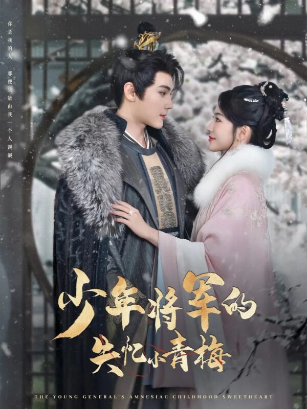 少年将军的失忆小青梅（100集）赵垣又＆牛湘鹭 - 免费短剧资源全集-年糕资源网