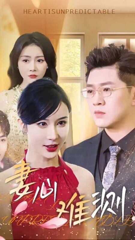 妻心难测（33集）林彤 - 免费短剧资源全集-年糕资源网