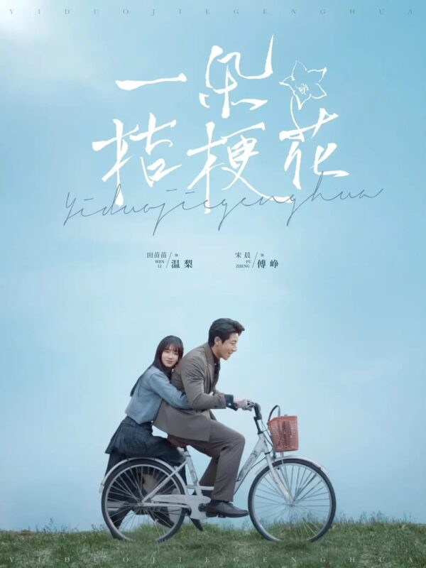 一朵桔梗花（71集）宋晨＆田苗苗 - 免费短剧资源全集-年糕资源网