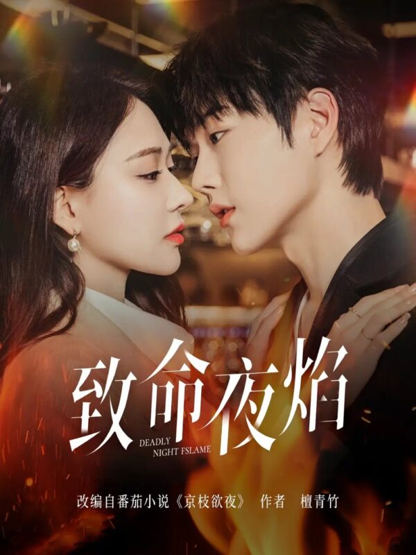 致命夜焰（80集）王轩&何适 - 免费短剧资源全集-年糕资源网