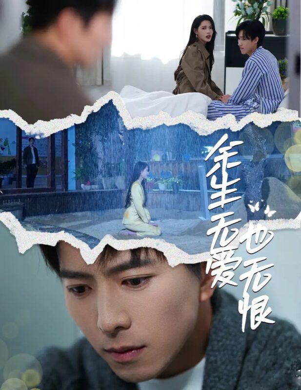 余生无爱也无恨（60集）傅汉源&董洁 - 免费短剧资源全集-年糕资源网
