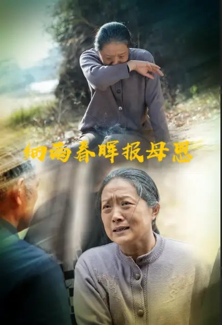 细雨春晖报母恩（30集）周婷&夏家顺 - 免费短剧资源全集 - 年糕资源网-年糕资源网