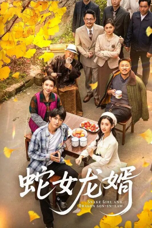 蛇女龙婿&不负韶华不负卿（52集）王冰星 - 免费短剧资源全集-年糕资源网