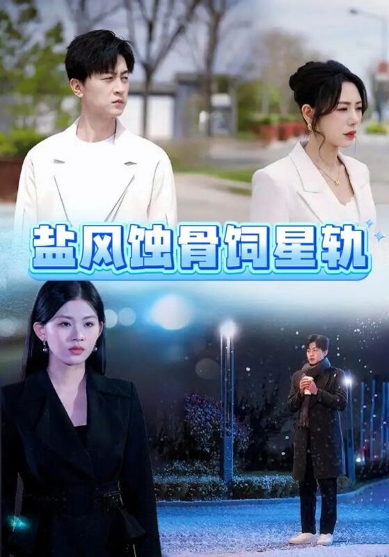 盐风蚀骨饲星轨（60集）王鹏 - 免费短剧资源全集-年糕资源网
